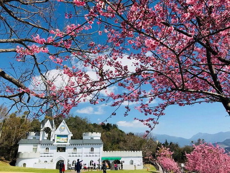 福爾摩莎時尚會館 清境民宿外觀山景
